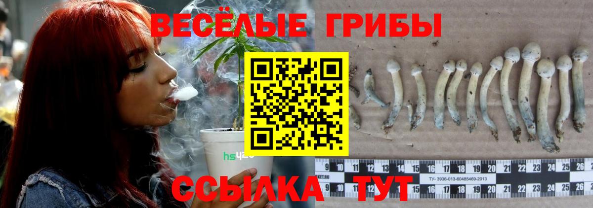 Галлюциногенные грибы мухоморы Тосно