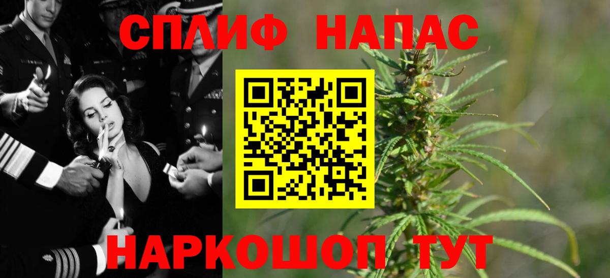 Бошки Шишки планчик Тосно